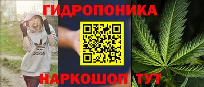гашик Ирбит