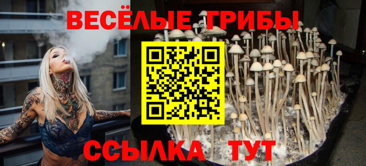 ГАШ  ТГК  МАРИХУАНА  МДМА  МЕФ кристаллы  NBOMe  Карталы  А ПВП СК   Вход с VPN 