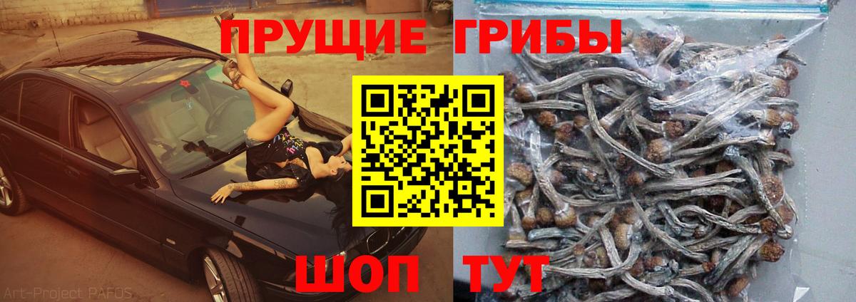 Галлюциногенные грибы MAGIC MUSHROOMS  Галлюциногенные грибы ЛСД  Карталы  Вход с VPN 