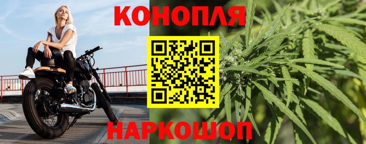 Бошки Шишки гибрид  Канабис VHQ  Карталы  Вход с VPN  Бошки Шишки White Widow  Каннабис сатива 